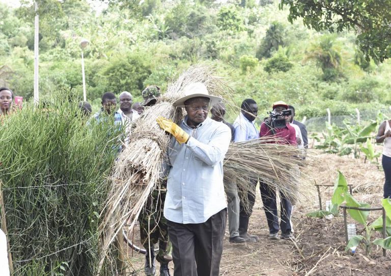 17426172_990194527782638_9196124494649641544_n