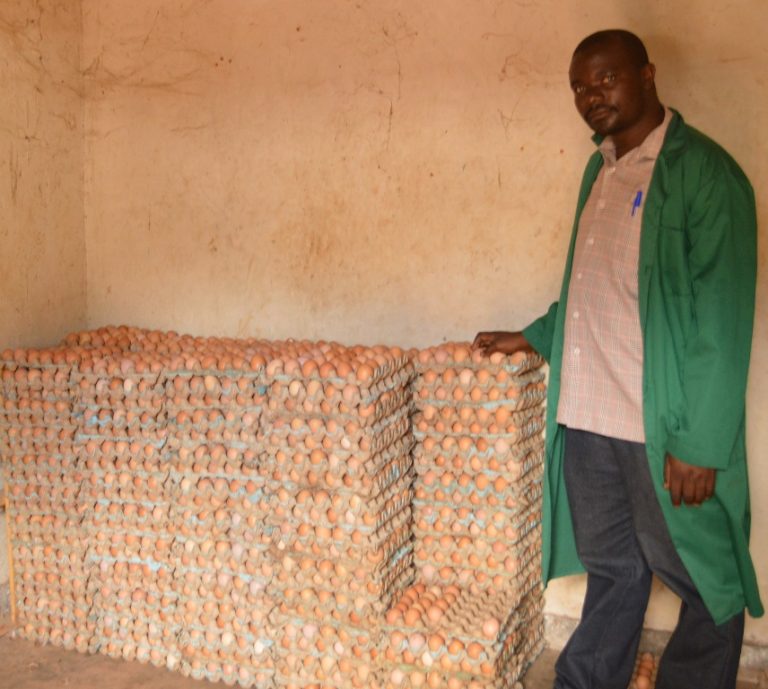 Eggs have made Basangwa a millionaire