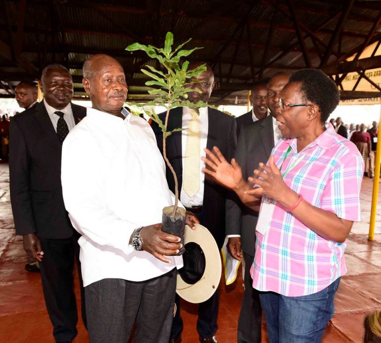 20229099_1522389927828609_1765604749607788622_n