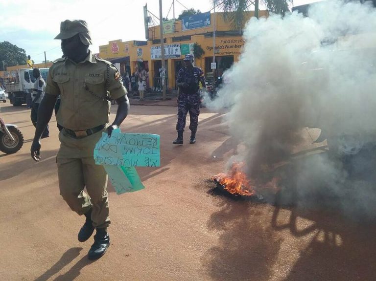 21761819_2098133463546259_2685842519504533943_n