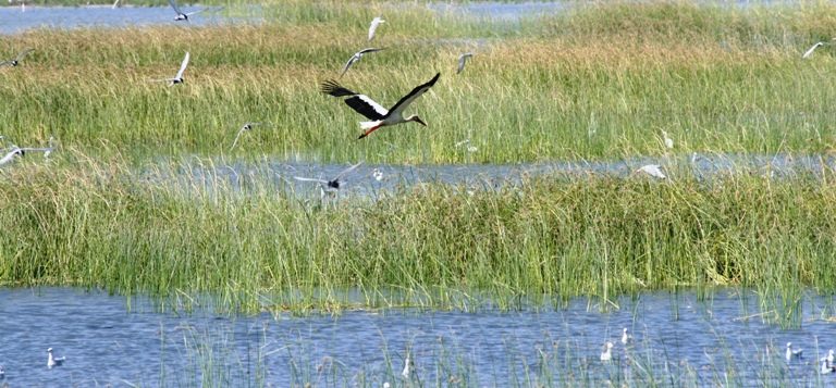 Investing in Uganda's protected areas has been made easy