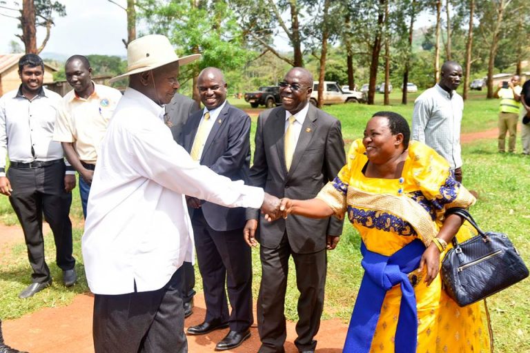 29542467_1776730679061198_4029826440070293392_n