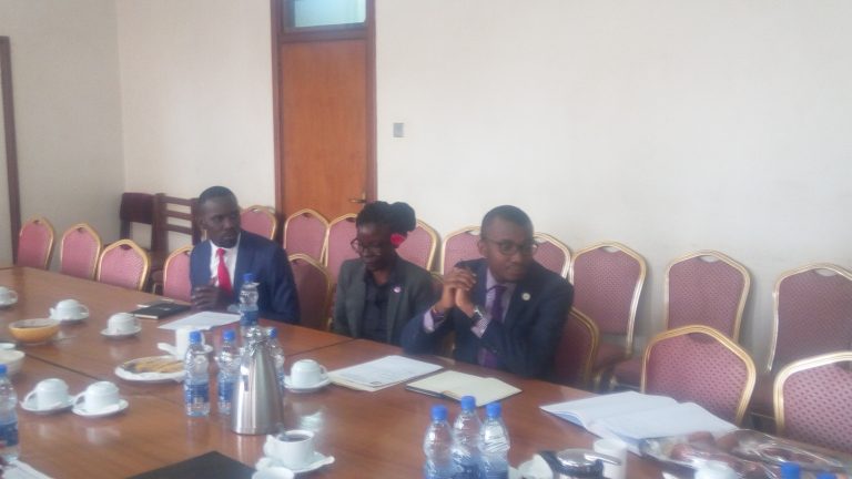 Activists before being thrown out of Parliament