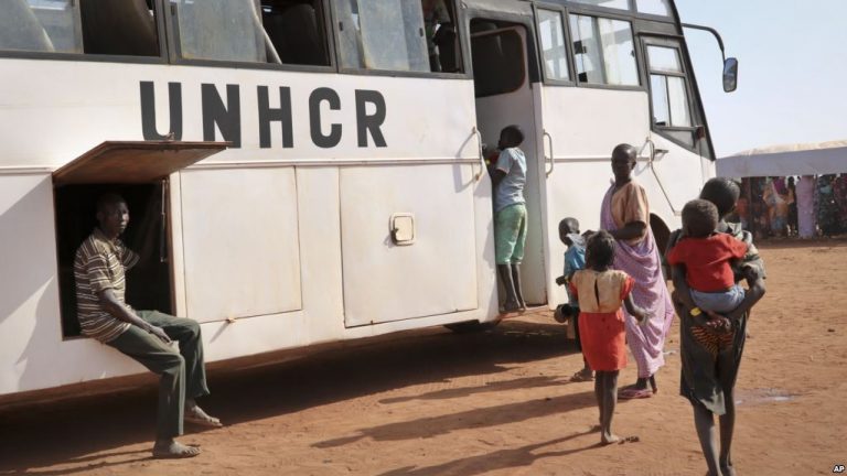 B5B625EE-8608-4A7E-B406-6CB287D10D12_w1023_r1_s