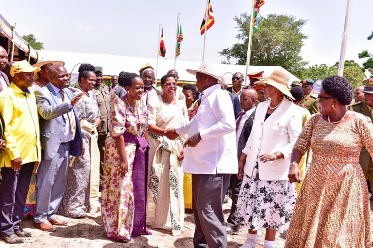 50670686_2232770703457191_7432704827173371904_n