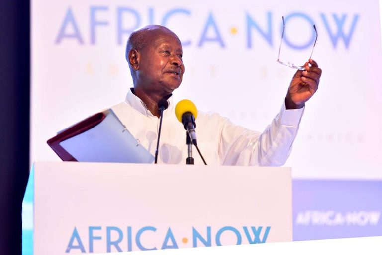 53862960_2299241120143482_666321045912813568_n