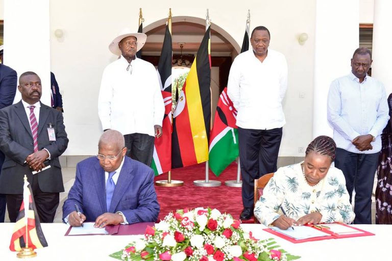 55604835_2318629108204683_325437587642646528_n