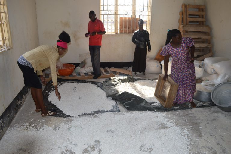 Some of the members of Kiwami Women Value Addition and Marketing group in Kibuku District process cassava.