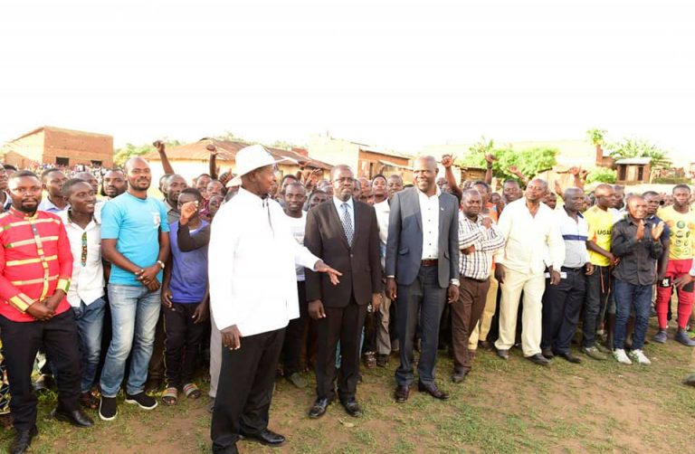 57484732_2490944534270233_5229542477278478336_n