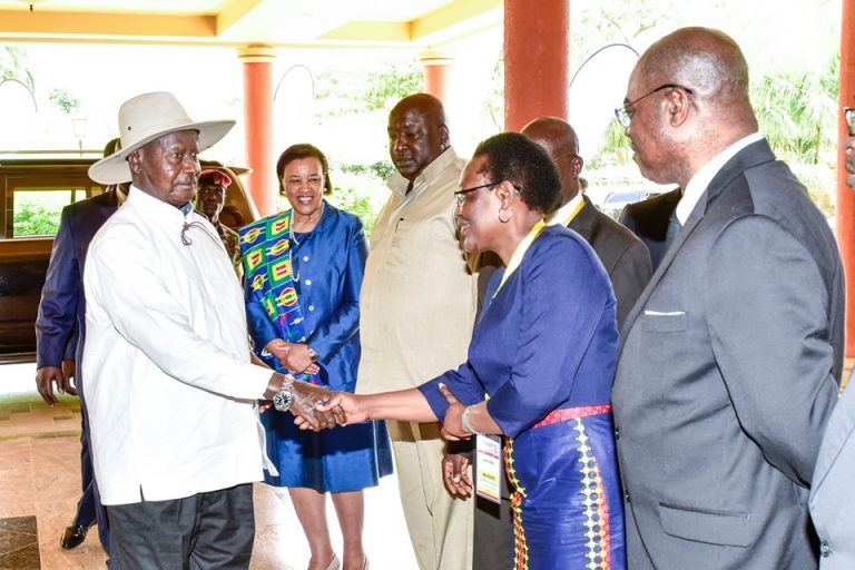 59503493_2380064972061096_628244825098944512_n