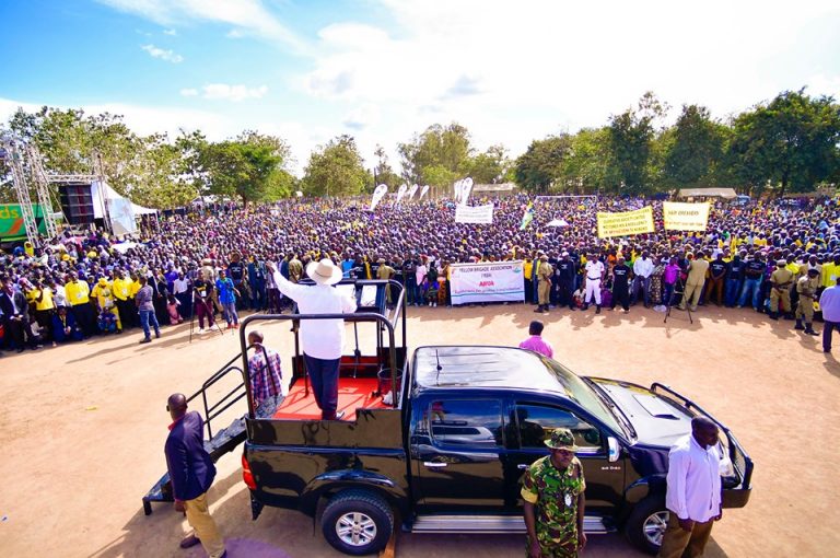 60088257_2388285704572356_8679845939885637632_n