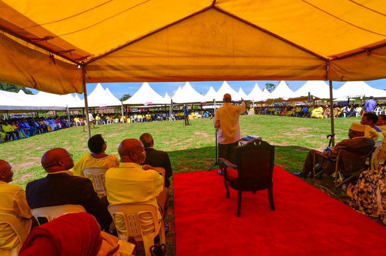 60809786_2400864249981168_1745107360541573120_n