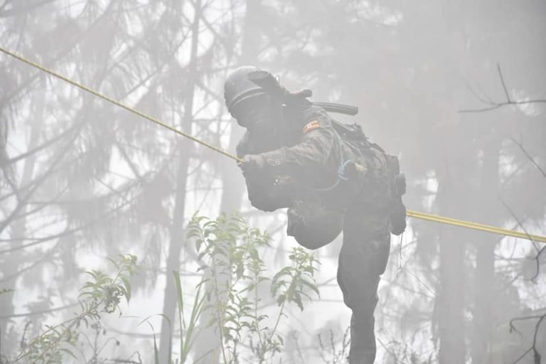 60859694_10157380007098799_5705111316767703040_n