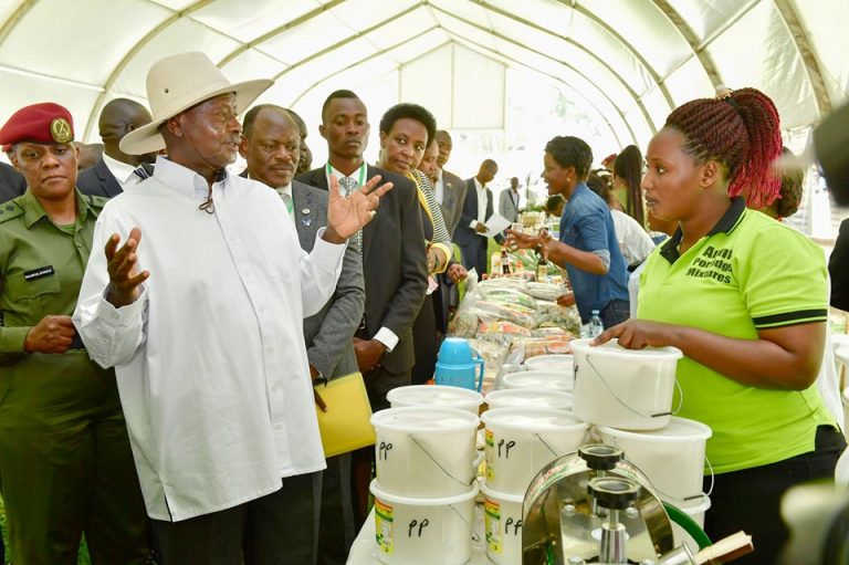 71389949_2627011930699731_1255318554350190592_n