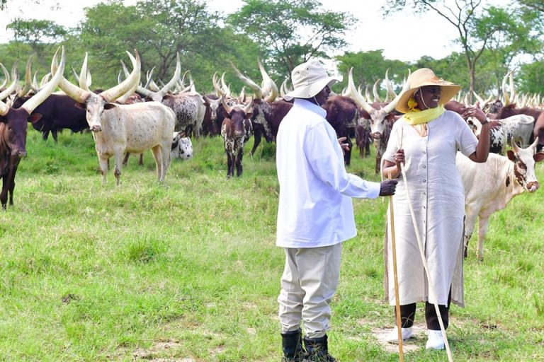 72866965_1706551392813611_3912587744911556608_n