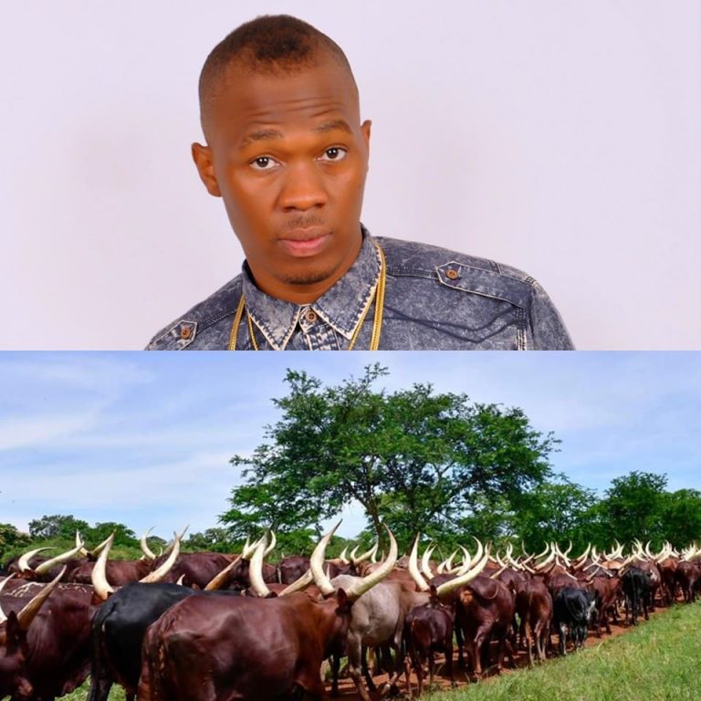 76605056_1155991461258810_2359767101004054528_o