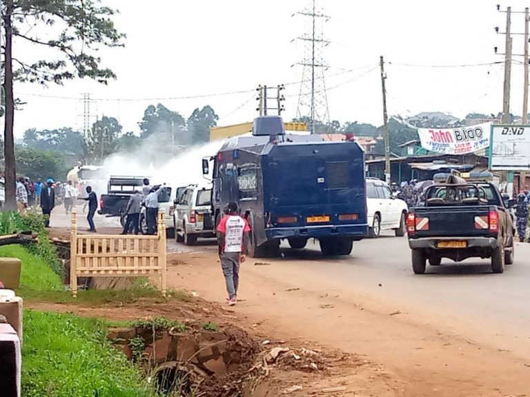 d58d1c9d-1822-4e94-90d5-e68d51c109d4