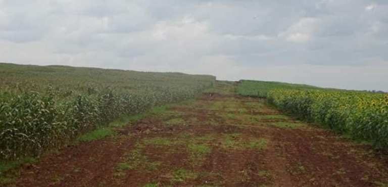 79194702_2162756770700147_5259470183059161088_n