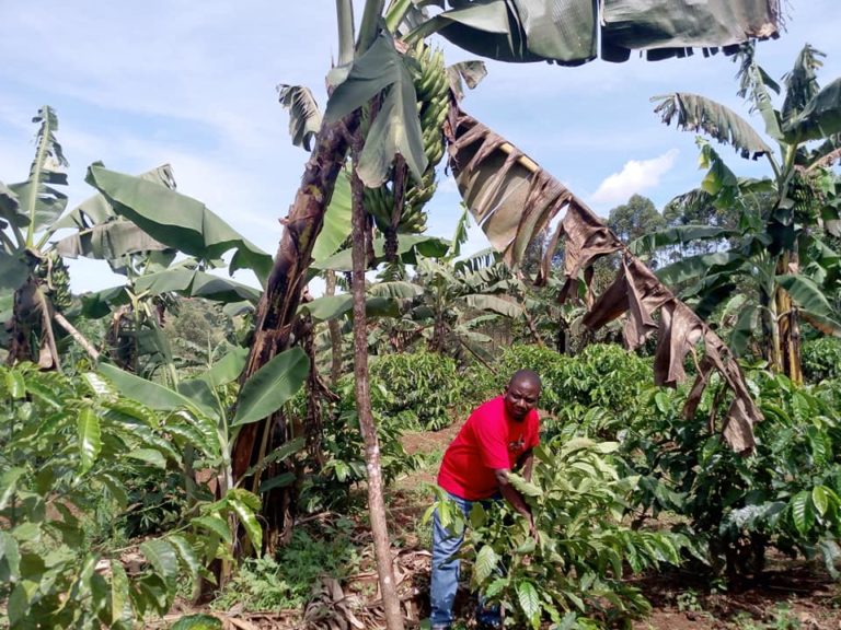 91578193_2252184551757368_7254917507813736448_n