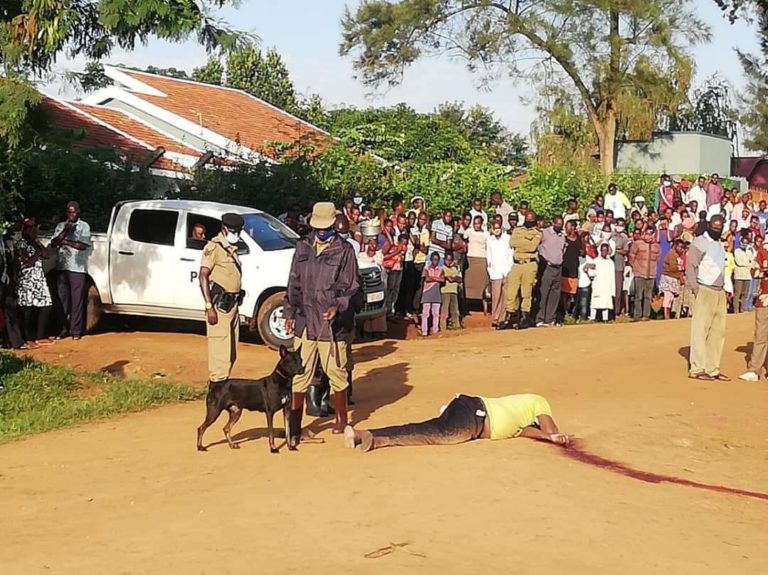 FB_IMG_1590340216594