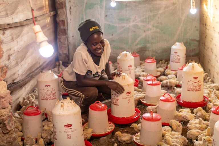 Young-Africa-Works-Uganda-Ainembabazi-Catherine-Youth-Agriprenuer-Producer-Gudie-Leisure-Farm-1-scaled