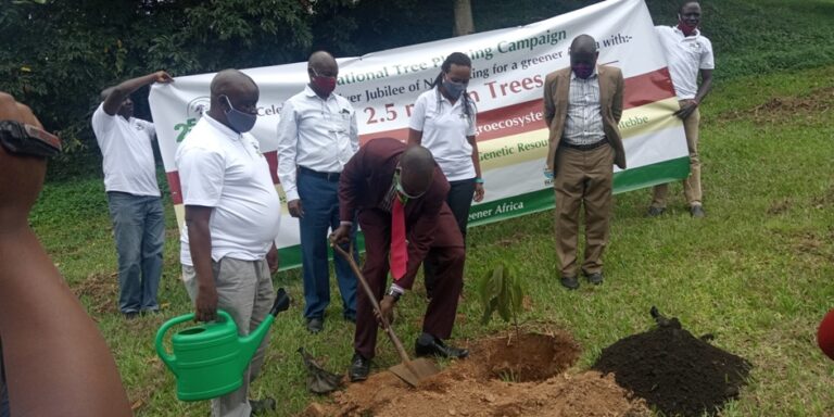 Officials planting a tree during the national launch of the tree campaign