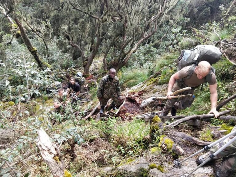 131775155_1524133471116914_925997309086429600_n