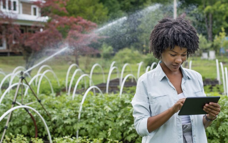 An organic horticultural nursery and farm outside Woodstock. A woman holding a digital tablet.