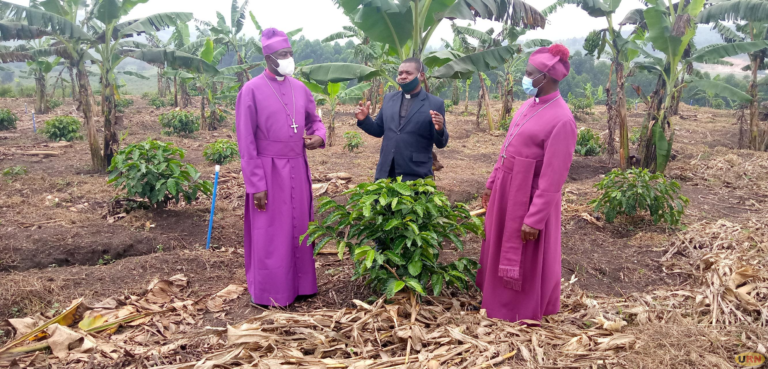 Church of Uganda ventures into coffee farming
