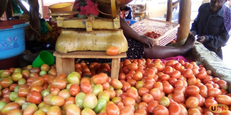 Tomatoe vendors.