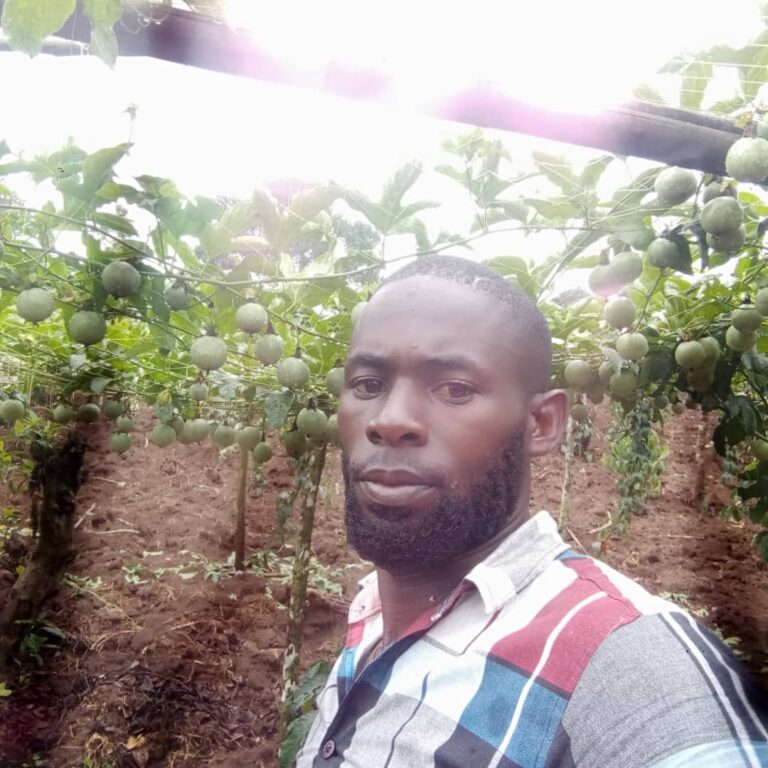 Kalyango is earning big from passion fruit farming