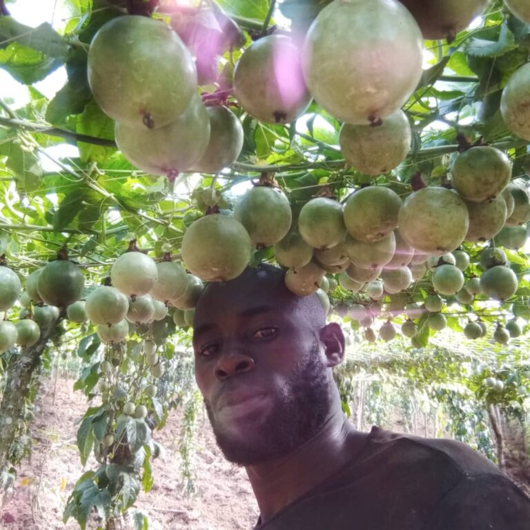 Kalyango-is-using-earnings-from-passion-fruit-to-buy-land-for-coffee-farming-1