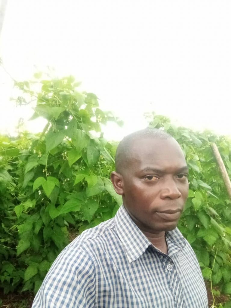 Kigoye is earning big from growing Masavu beans