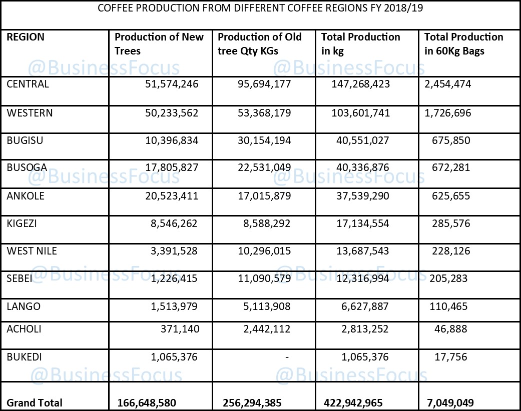 Uganda’s Leading Coffee Producing Regions Revealed » Business Focus