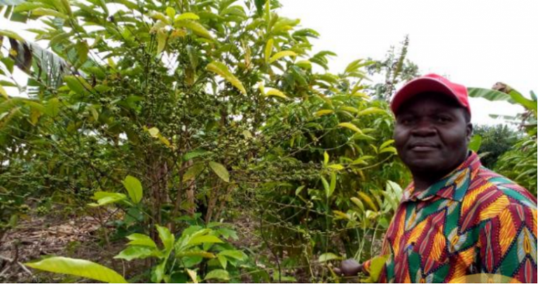 Coffee farmer in Northern Uganda