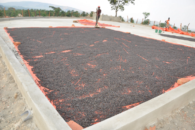 Uganda-earns-big-from-coffee