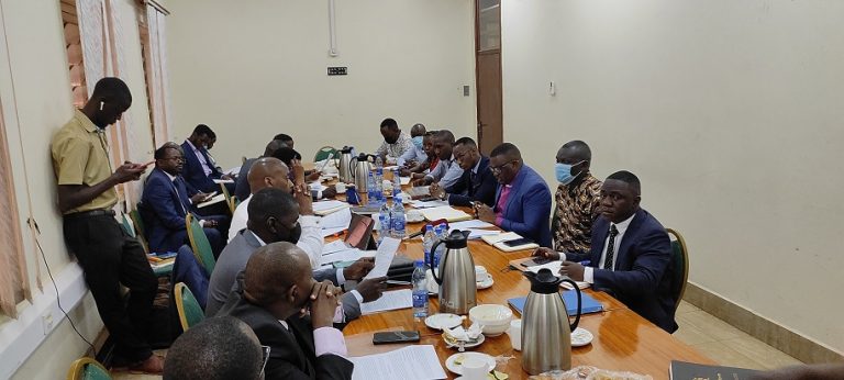 Online journalists before ICT Committee