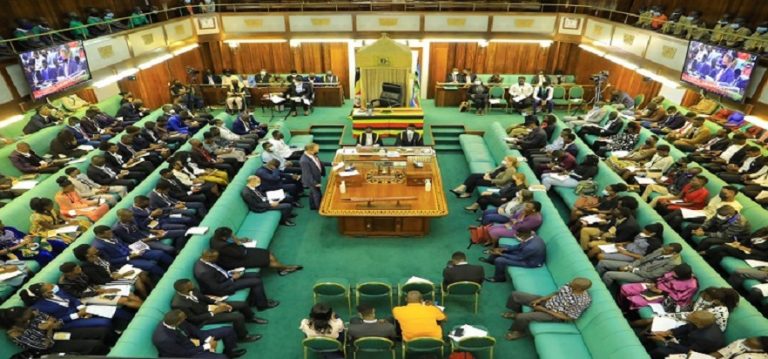 The Youth Parliament in session