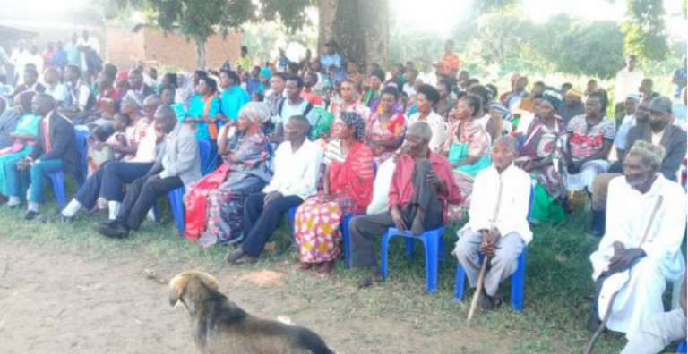 Palm oil to displace people