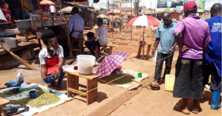 Grasshoppers in Nyendo