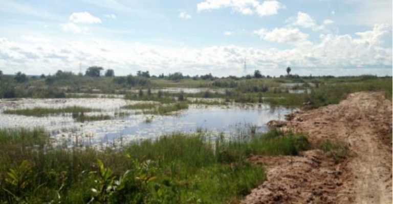 Lwera wetland