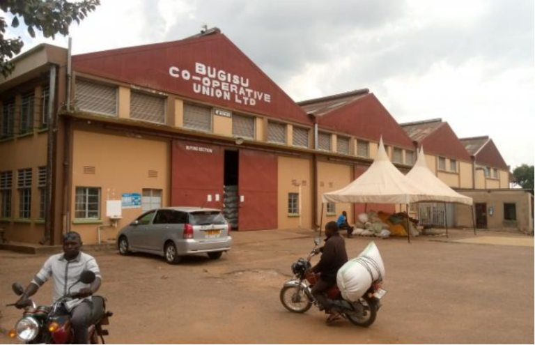 Bugisu Cooperative Union