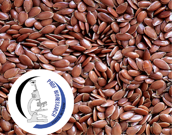 flax seeds from prof bioresearch