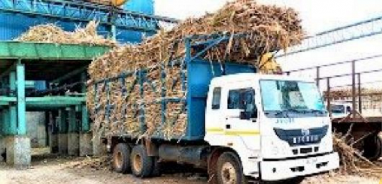 Sugarcane on a truck