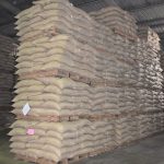 Coffee ready for export