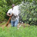 Irrigation