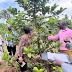Dr. Catherine Kiwuka and farmers assessing Excelsa coffee trials at Kawanda