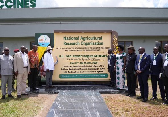 Museveni launching the anti-tick vaccine