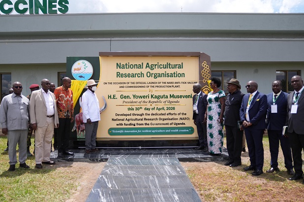 Museveni launching the anti-tick vaccine